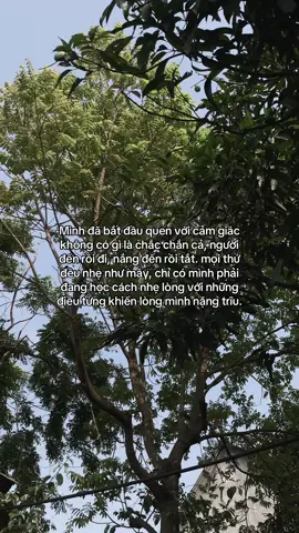 …#tamtrang #story 