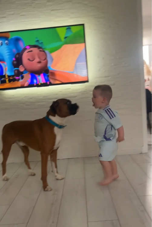 Dog and children ❤️#dog #baby #Love #pet #bestfriend #digsoftiktok #foryou #usa🇺🇸 