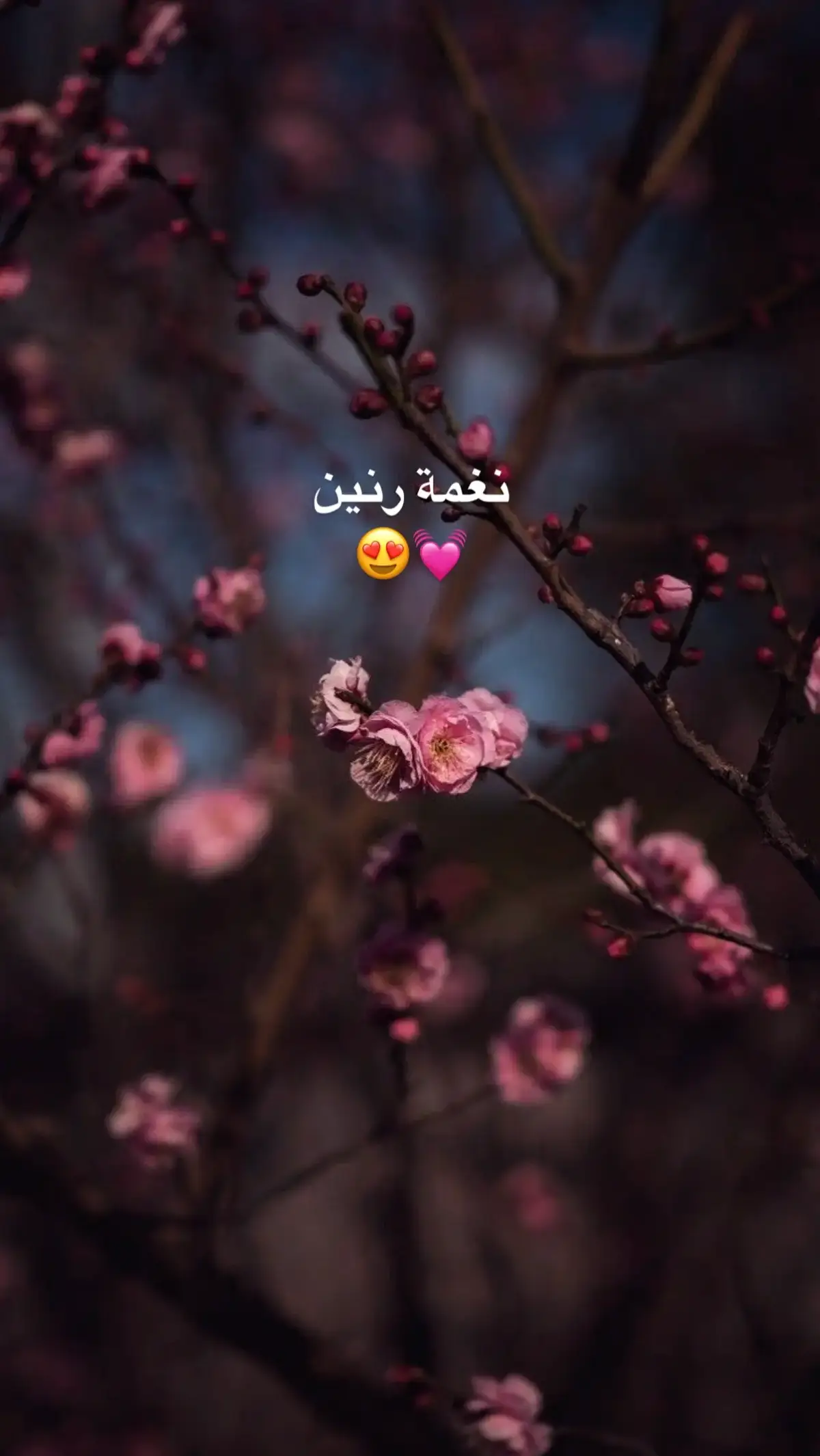#نغمات_رنين 