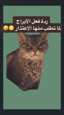 #برج #اكسبلور_ترند_منصة_الأضواء_العالم #الشعب_الصيني_ماله_حل 