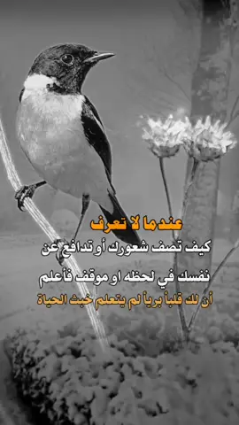 @ضاع العمر 