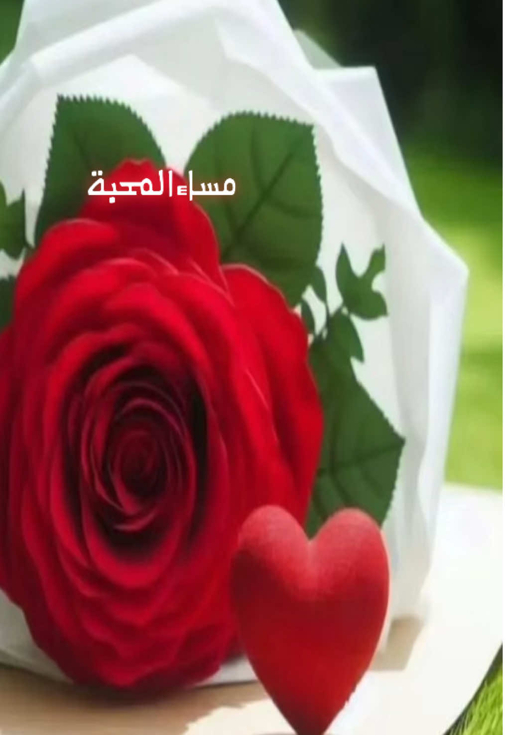 #احبك❤️ 