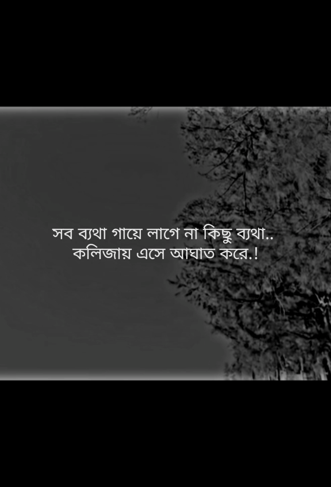 💫💫#বাংলা #স্ট্যাটাস #foryou #fyp #trending #foryoupage #💫💫 