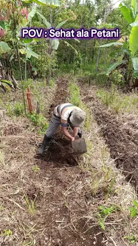 Pov: sehat ala petani #petani #petanimuda #petanimilenial #petanicabe #pertanian #fypシ゚ 