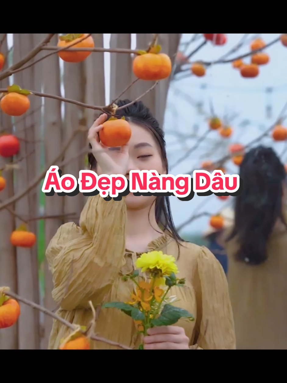 #Áo Đẹp Nàng Dâu #GiaTiến #nhạchaymỗingày #63quêtôi #mỹthoquêtôi #tâncổgiaoduyên 