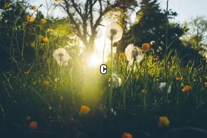 первомай - валентин стрыкало || я чуть чуть прогуляла весь апрель🤏🏻🤏🏻 #рекомендации #elbruso #viral #fup #весна #валентинстрыкало 