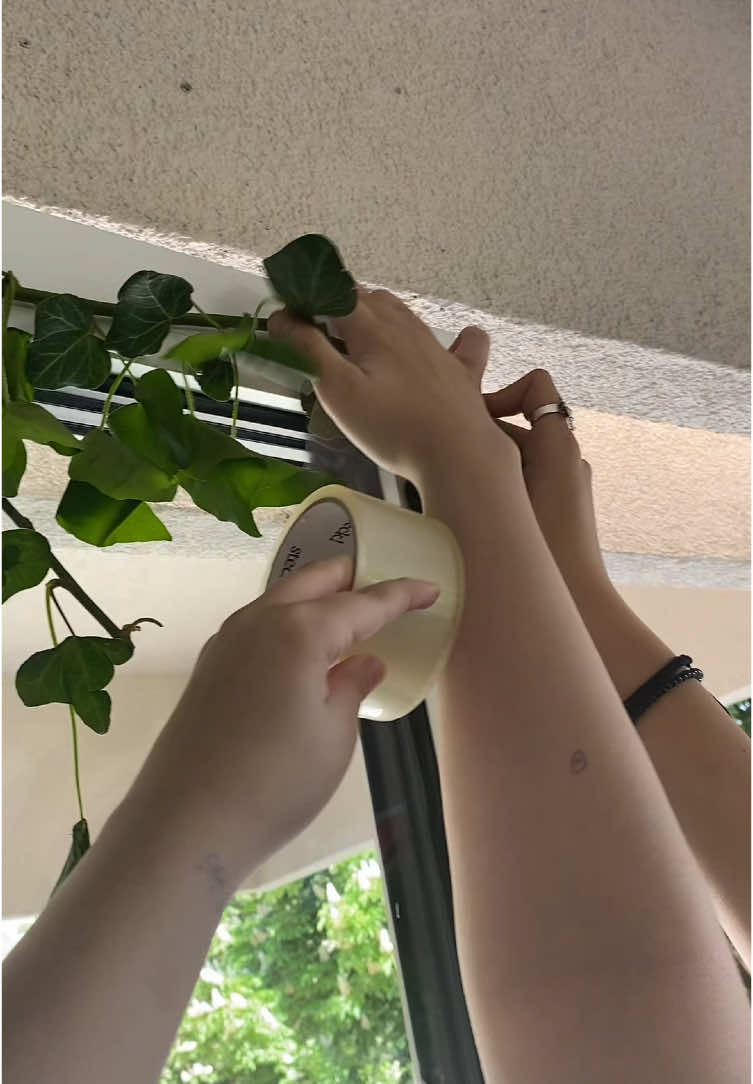 olyan csunya 🥀🥀 #fy #fyp #foryou #foryoupage #magyar #basszadbeforyouba #bicsikurvikurvi😻💶🔫 #neked #nekedbelegyen #viral #diszites #ballagás #2025 #blowthisup #szenvedés #work 