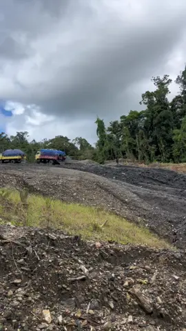 Goyang belut #lewatberandafyp #fypage #fy #jalantransjayapura_wamenapapua #capcut 