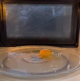 microwave VS egg 🥚 🍳🧨🙀 what's next?#egg #fryingpan #fry #explosion#microwave #experiment 