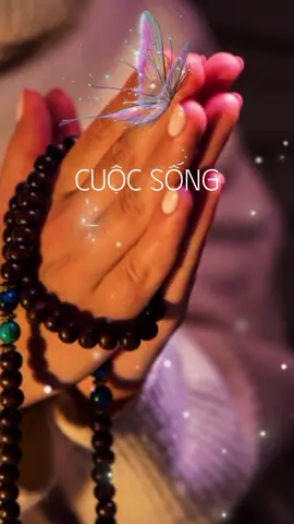 Ngàn năm chỉ một kiếp người, hãy cứ cho nhau niềm vui sống trọn kiếp người...🍂#tamtrang_camxuc #batnhipcamxuc #foryou #xuhuong #nhachaymoingay 