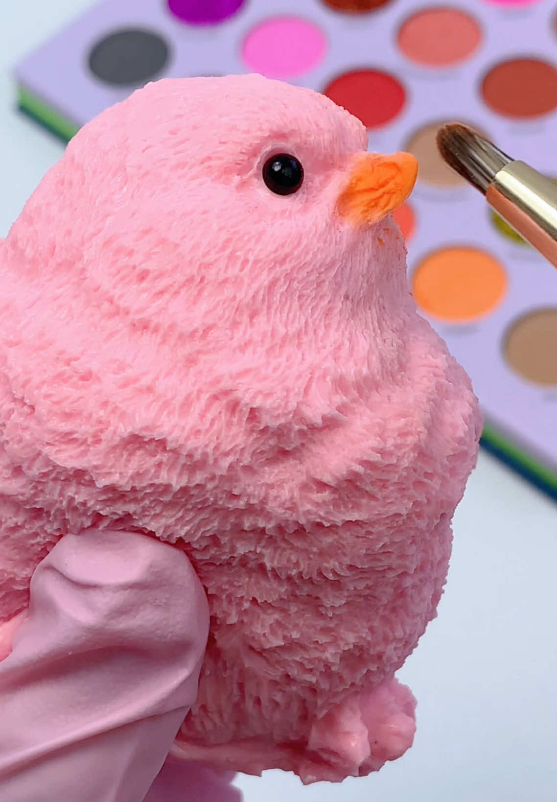 FUFUSQUISHY ASMR🐤🐤Chic