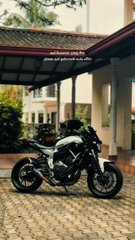 pov : ඇස් පියාගෙන දැකපු හීන දවසක ඇස් ඉස්සරහම හැබෑ වේවා 