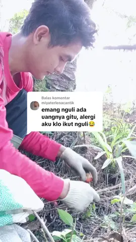 Membalas @miyaterlenacantik masih makan hasil nguli jangan sok asik🤣#trending #sawit #petanimuda #viral 