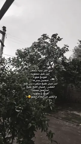 الكثير من الكلام الحلو🥹✨. #ترندات #ترند_تيك_توك #explore #fypシ゚ #اكسبلورexplore 