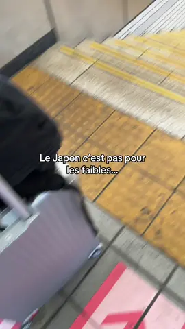 je voyais des tiktok mais j’y croyais pas…#fyp #daiki_caps #travel #japan #tokyo 