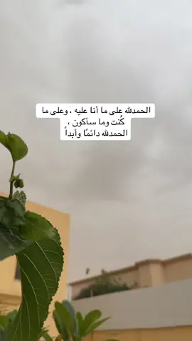 كل نعمة تحيط بك ،،، تستحق الشكر  فـ الحمدلله 🤍 #مساء_الخير  #القصيم #أمطار #أمطار_أجواء_روووعه  #الجو #غيم #ويكند #الحمدلله_دائماً_وابداً #مساء #البكيريه #القصيم #اكسبلور  #اكسبلوررر #مساء_الورد #اكسبلورexplore 