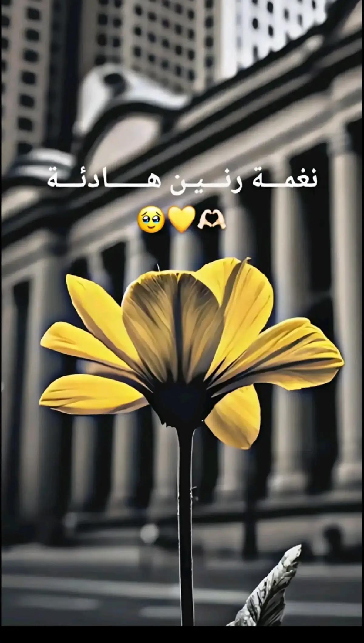 #نغمة_جوال #نغمات_رنين #نغمات #rnate #هدوء 