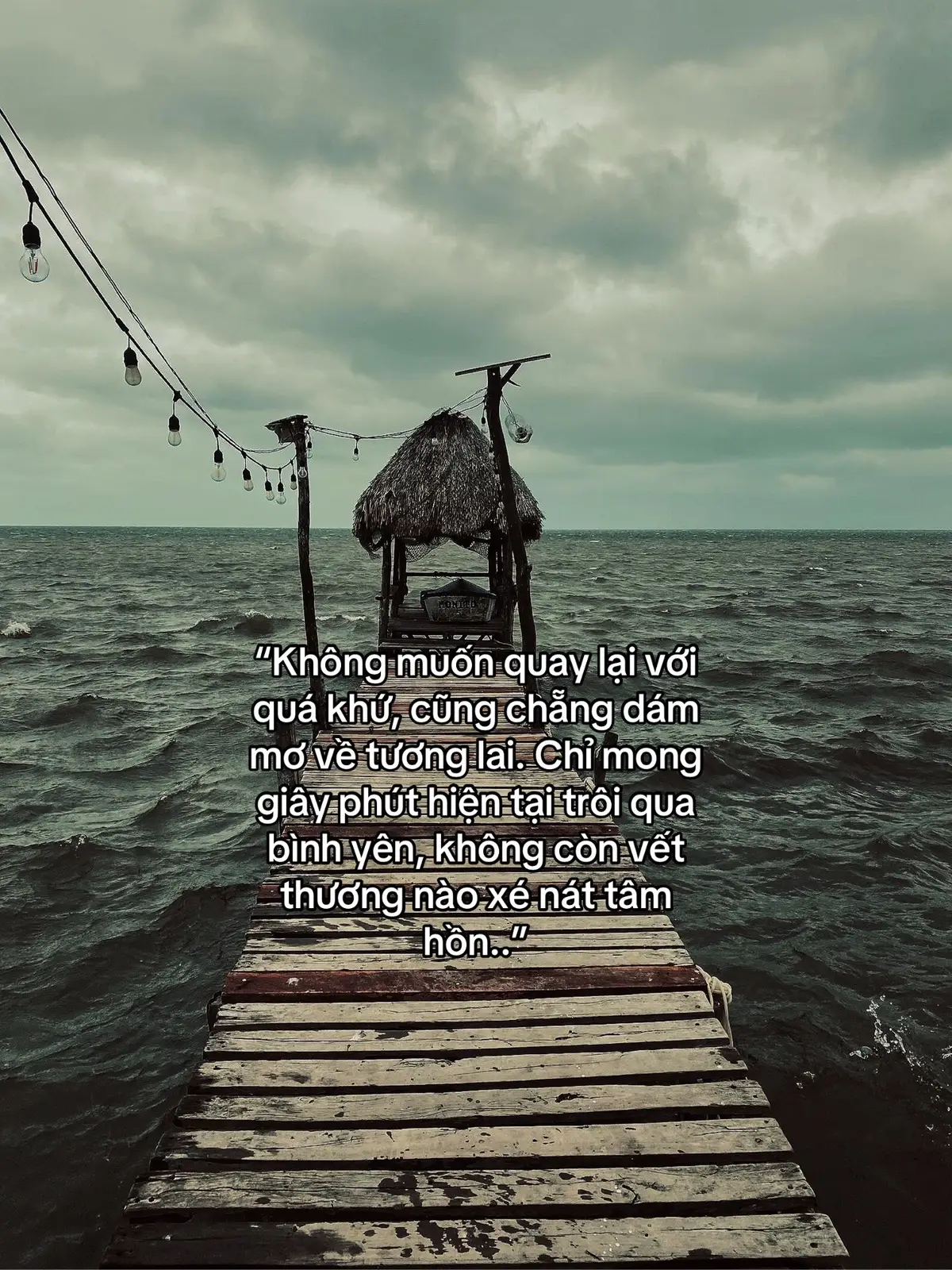 “Không muốn quay lại với quá khứ, cũng chẵng dám mơ về tương lai. Chỉ mong giây phút hiện tại trôi qua bình yên, không còn vết thương nào xé nát tâm hồn..” #tamtrang #xh #fyp 