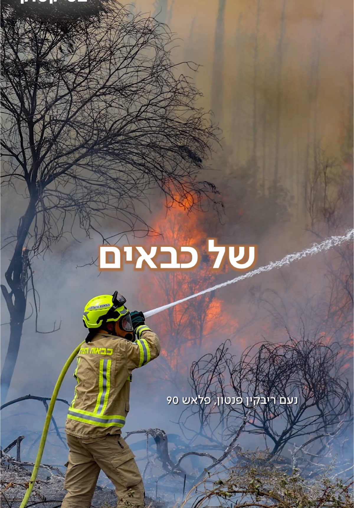 שבוע אחרי שריפת הענק: התחדשה השריפה בהרי ירושלים, יישובים פונו #ערוץ7בטיקטוק #שריפה #ירושלים  