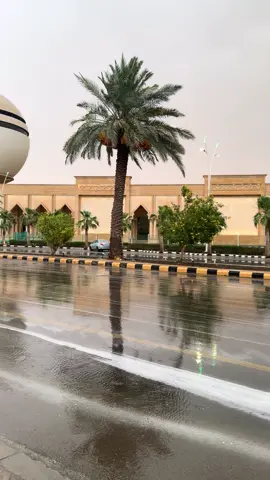#اكسبلورexplore #yyyyyyyyyyyyyyyyyy #تصويري #pv #بريدة 