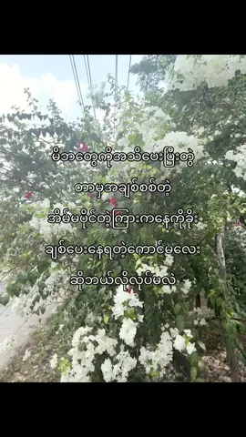 #စာတို #foryoupage #livephoto #fypppppppppppppp