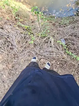 #ฟีดดดシ 