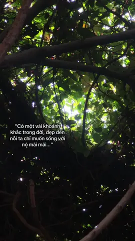 #nhungdieudethuong #tronthegioi #xuhuongtiktok #chill #khoangkhacdep #fyp #caunoihay #motminhvanon #muahecuaem #yeuthiennhiencocay #muaha #ngaynangdep 