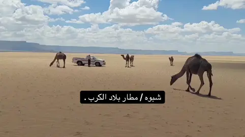 #مطار#شبوه #العقله #الكرب #الكربي #الرعي #الربع_الخالي #الرمله #المعشار #اكسبلور#e #اكسبلورexplore #الابل #عطايا_الله #fyp 
