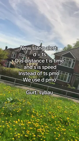 #ts #d #t #s #pmo #slang #gurt #sho 