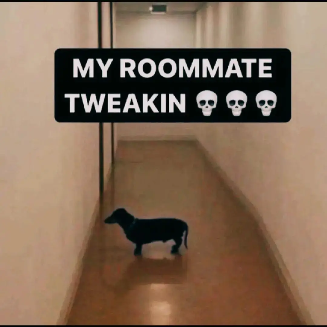 tweaking thank you @paulepick  #fyp #flo75689 #meme #shitpost #slideshow  #dog #roommate #tweaking #💀 #tuff #room #mat #root #rat #evil #red #nice #bloom #flo75689 #galaxynote10 #georgeharris #georgeharrissr #paracetamol #doctor #client #imnothinglikeyall #nothinglikeyall #nothinglikeyallcore #nothinglikeyallcore 