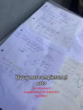 Sin contar las otras pruebas 😂😭 #matematicas #prueba #fyp #humor 