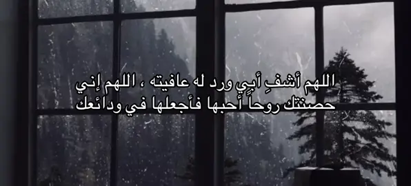 اذكرو والدي بدعوة لعل احدكم اقرب مني إلى الله #explore #4u #Quran 