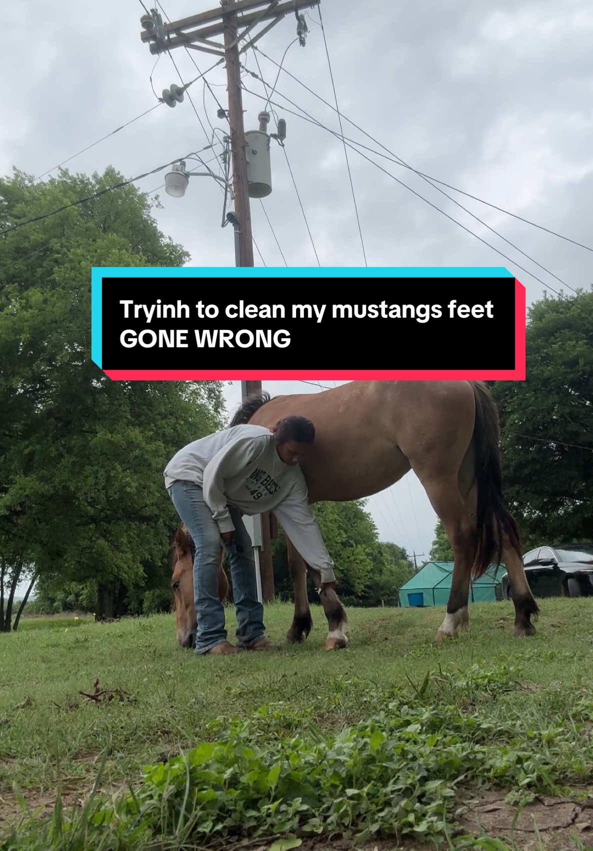 can always count on Frosty#hoofcare #cleaningtok #mustang #horsesoftiktok #fyp #aqha #fypシ 