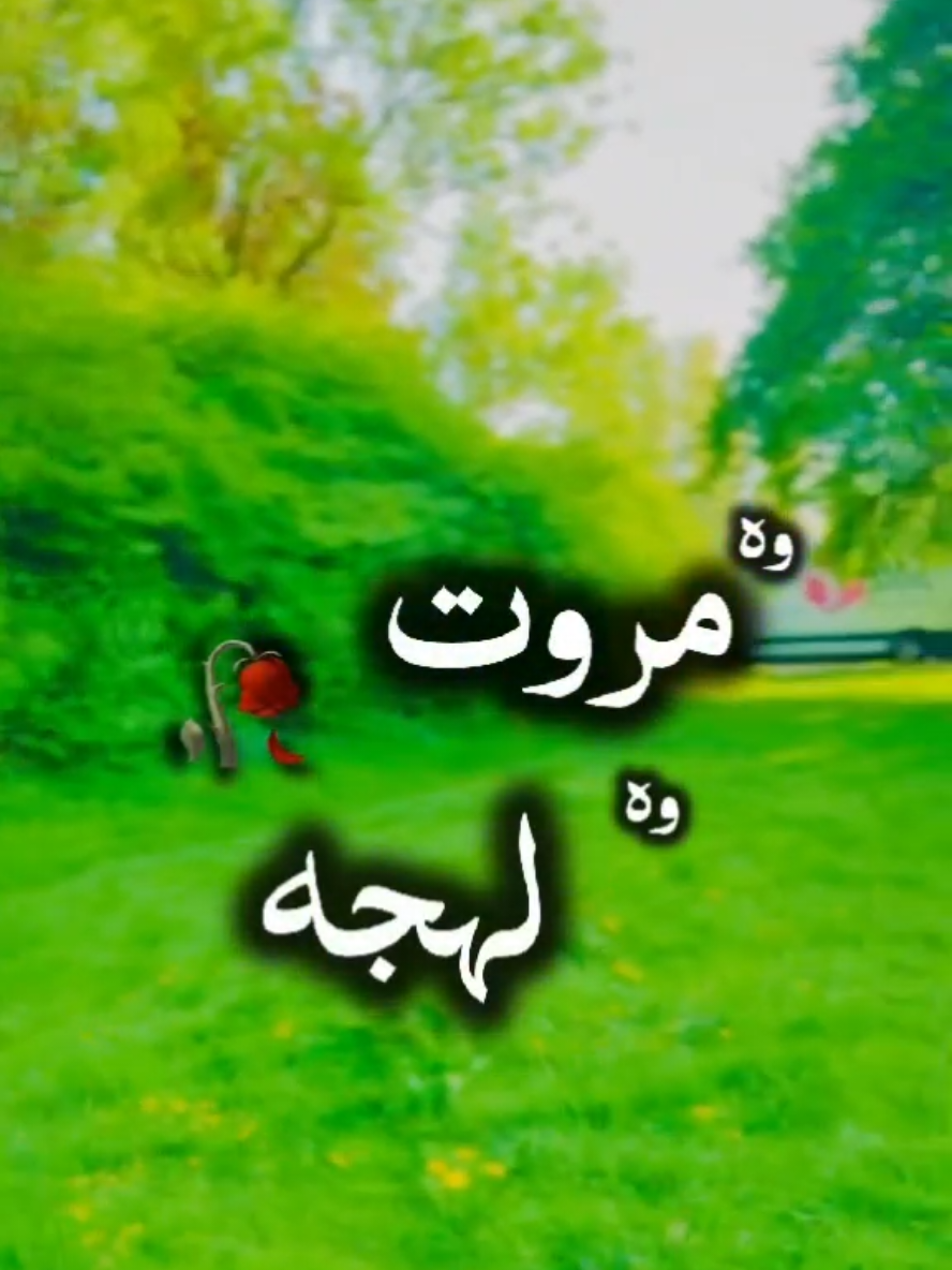 Woh Muarrawat Woh Lehja <3 | #urdupoetry #deewanewasif #foryou #ishq #shayri #dosti #fyp #foryoupage 