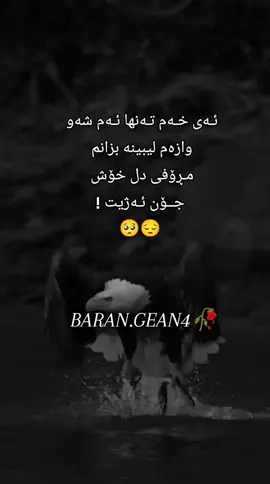 #لەبیڕکڕاویڪ🥀 #خەمگینم🙂💔 #دلشکاویکەم #سۆرانەکەم 