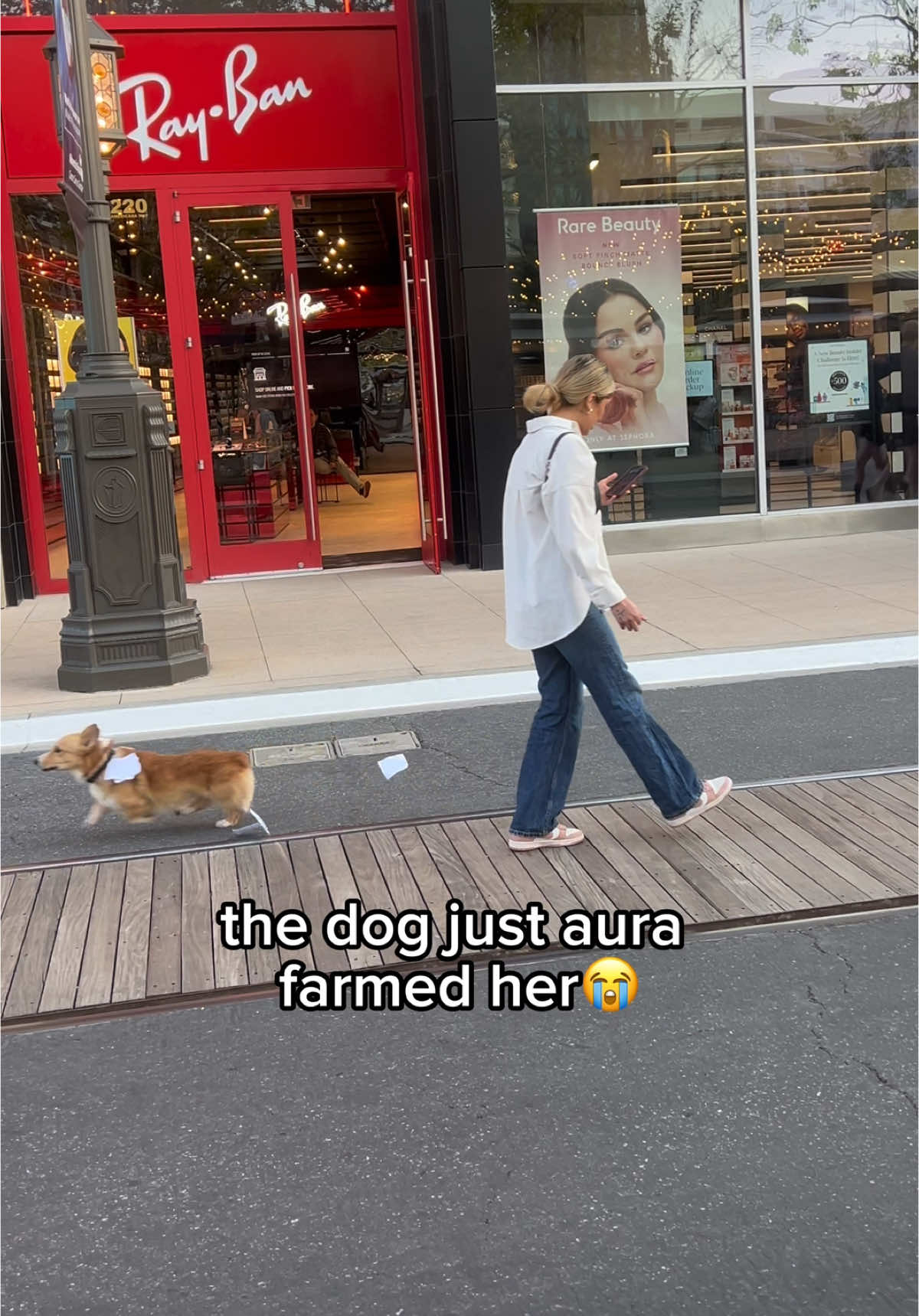 no wayyy😭😭 #aurafarming #fyp #dogs @Hannalei💜 