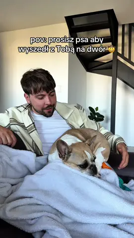 Krysia to moja idolka i totalnie się z nią utożsamiam 🐶 umiejętność nienawidzenia wychodzenia z domu to chyba jedna z moich ulubionych jej zachowań XD Krysia jest po prostu prawdziwym ✨domownikiem✨ czy ktoś z Was też zna takiego pieska? dajcie znać czy Wasze psiaki skaczą z radości gdy słyszą słowo dwór czy może… reagują tak jak Krysia? 👀