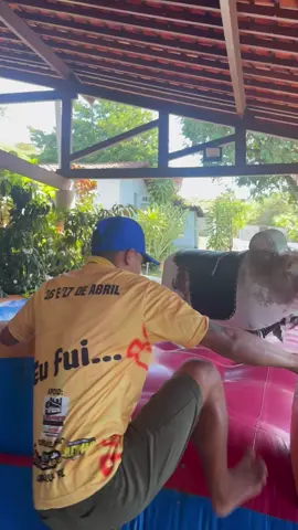 Até o Cícero subir um boi