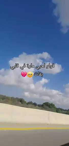 #شيخ_عدة 