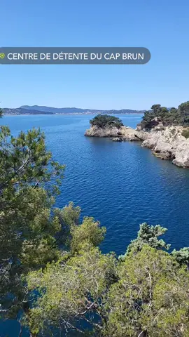 #dz 🇩🇿❤️#enfrance🇨🇵🇨🇵 #CUPCUT #tiktokviral  de quel amour vous parlez 🥺💔 #fypdong #pourtoii #_for_you  #cotedazurfrance 🇨🇵🌊⛱️