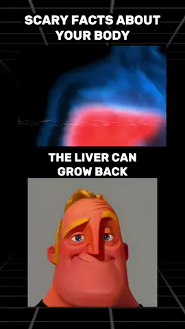 Scary Facts About Your Body #scary #fact #body 