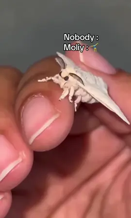 😂😂😂😂😂😂😂😂😂😂😂😂