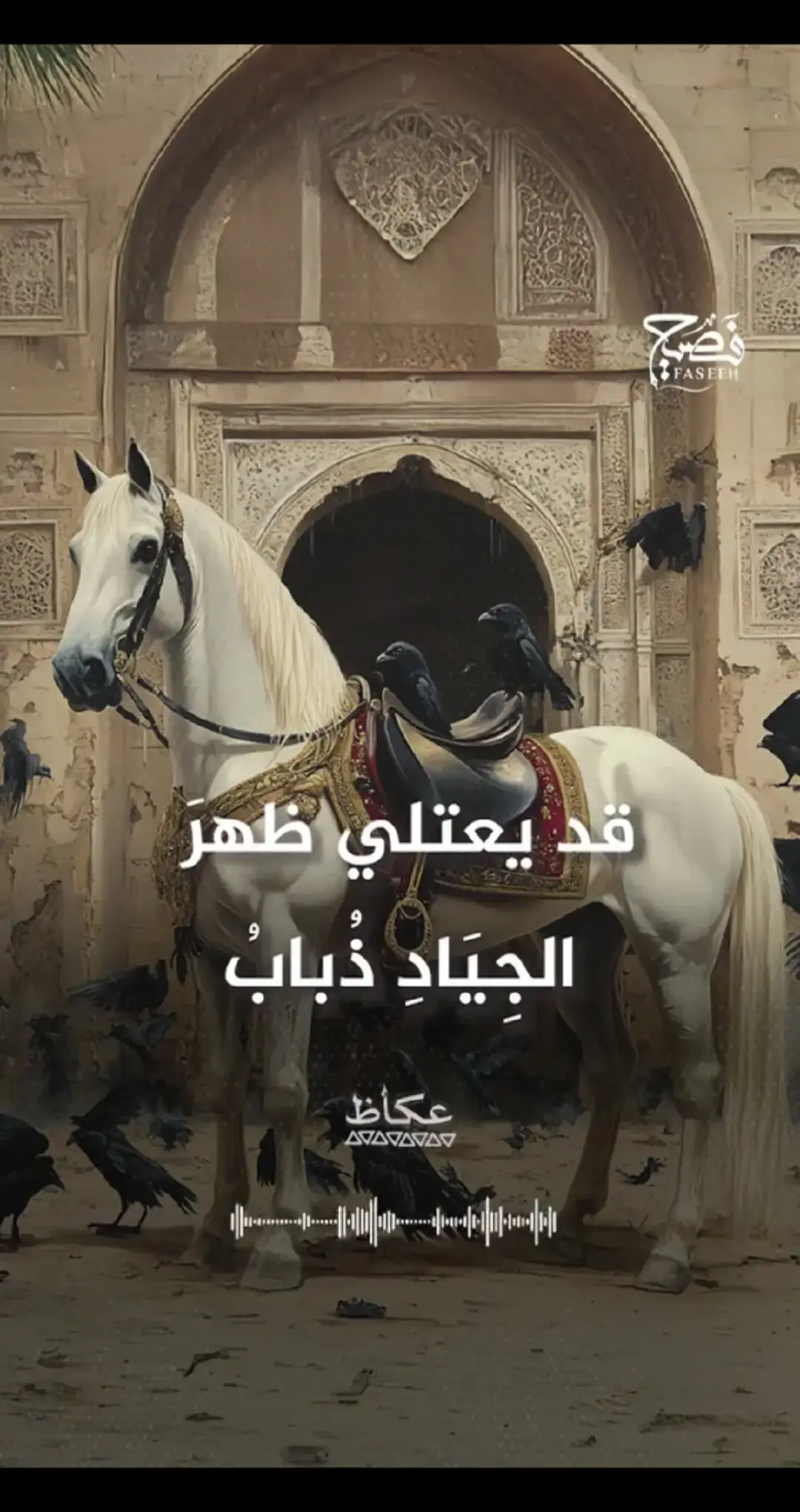 قد يعتلي ظهر الجِيَادِ ذَبَابُ ويقود أسراب الصقور غراب 