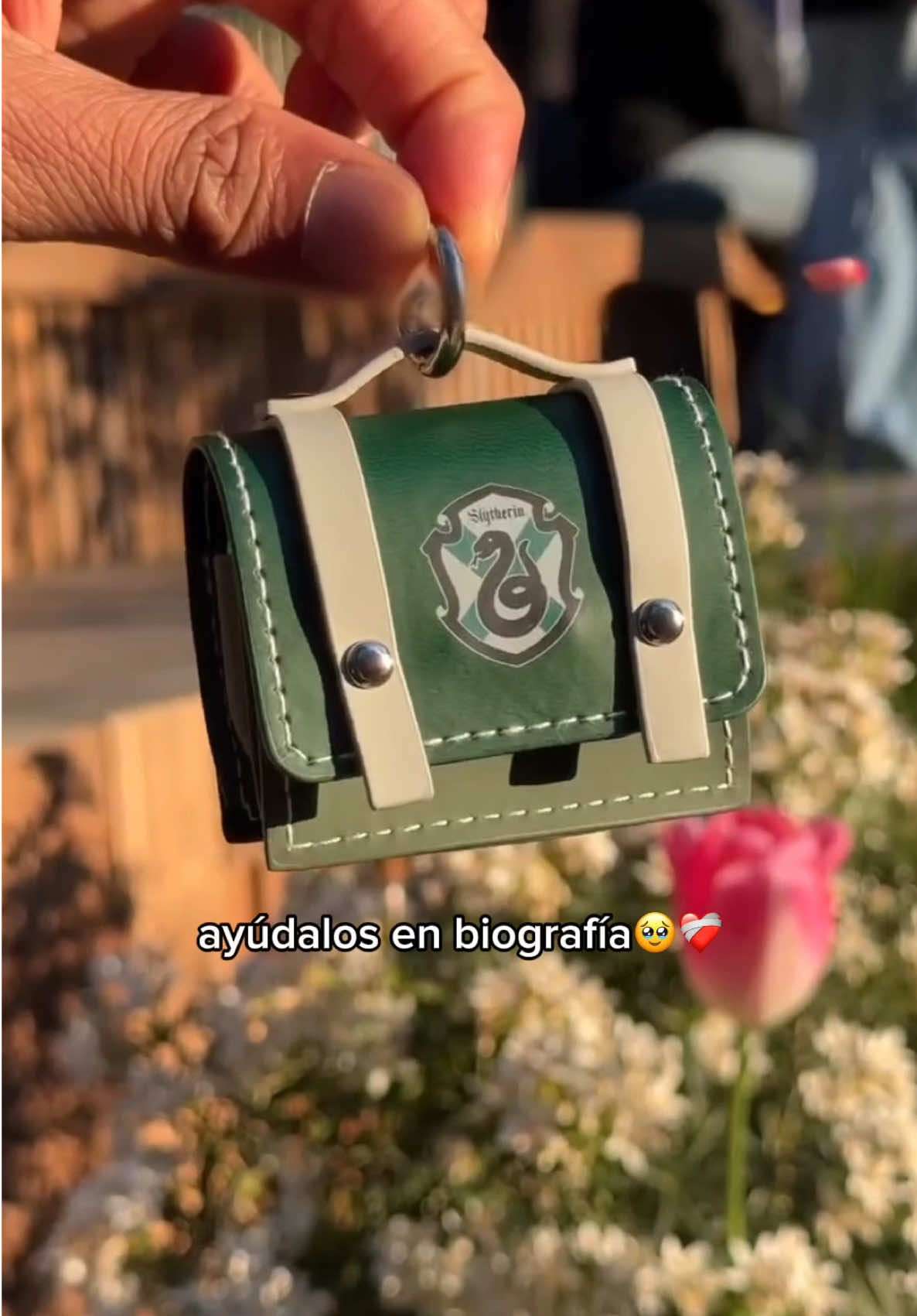 What do you guys think?🥹❤️ #supportsmallbusiness #hermesbirkin #potterhead #harrypottertiktok #buchona #fresita 