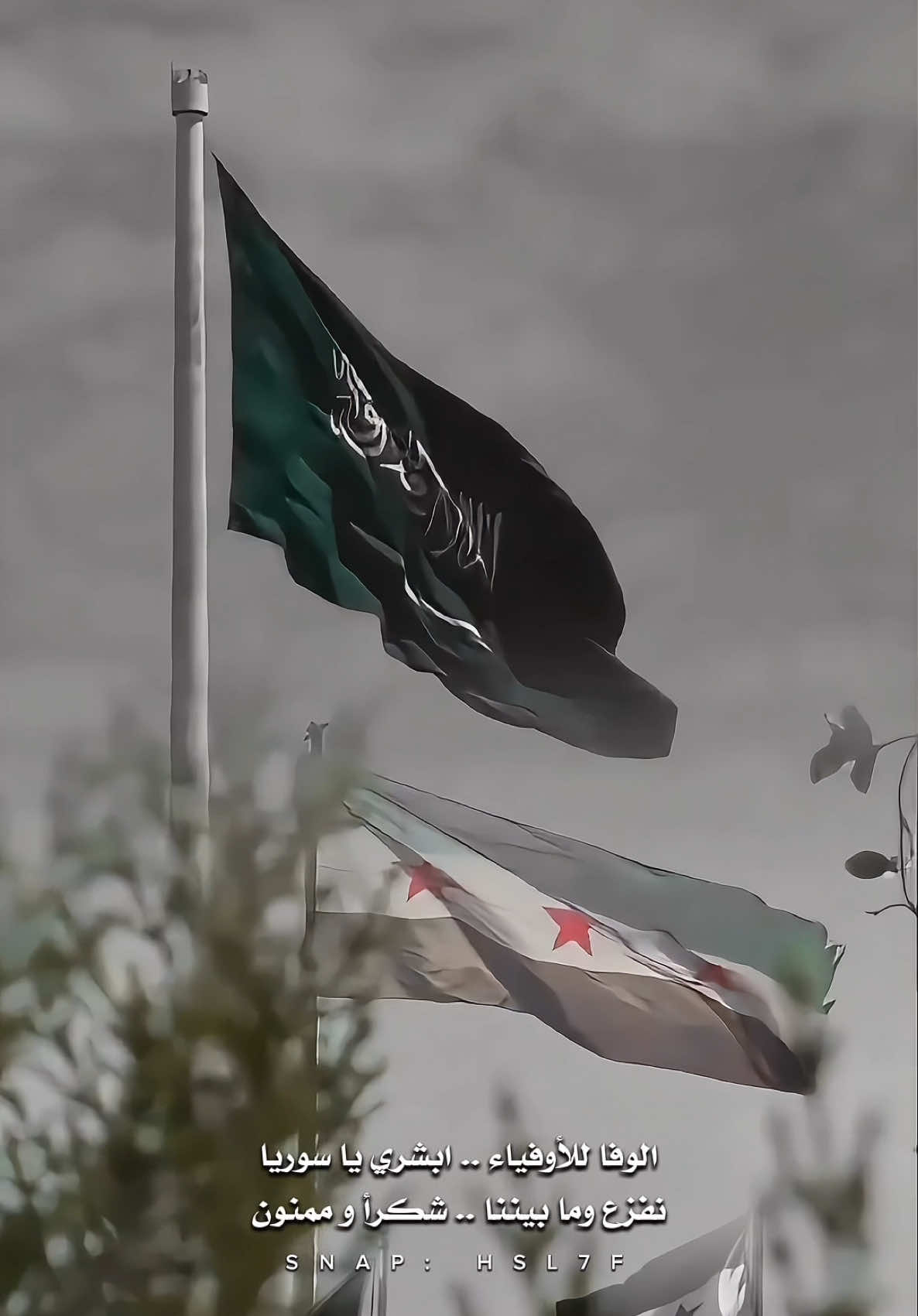 #سوريا_السعودية 🇸🇾🇸🇦  #سوريا #ابشري_يا_سوريا #المملكة_العربية_السعودية #المملكه_العربيه_السعوديه🇸🇦 #اكسبلور #اكسبلورexplore #ترند #اكسبلورر 