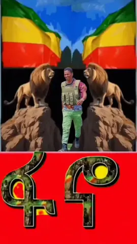 #amharatiktok💚💛❤️ #አማራዬ💚💛❤አማራዬ💚💛❤ #አማራዬ💚💛❤አማራዬ💚💛❤️🐅ፋኖ❤️🐅የኔ #💚💛❤️ #ወሎ💚💛❤️ 