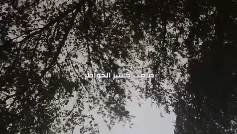 صـعب كسر الخواطر #باسم_الكربلائي #مله#باسم #صعب #كسر #قصائد#قصائد#قصائد_باسم_الكربلائي #f#f#fy#x #اكس#اكسبلو#اضافة#متابعة 