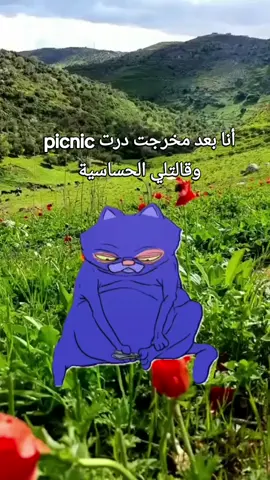 #CapCut #جزائرية #fyp #fyppppppppppppppppppppppp #foryoupage #pourtoi #algeria 