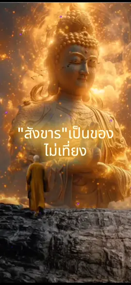 ของเที่ยง ของแท้ของชีวิต คือ ความตาย #❤️ #ธรรมชาติ #ศีล #ศาสนาพุทธ #ธรรมทาน #ธรรมะ #คติเตือนใจ #fyp #buddha #อย่าปิดการมองเห็น #ฟีดดดシ #tiktok 