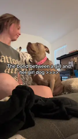 #pittie #pittielove #pitbullsoftiktok #pitbull #dogsoftiktok #fypシ #puppy #dog 